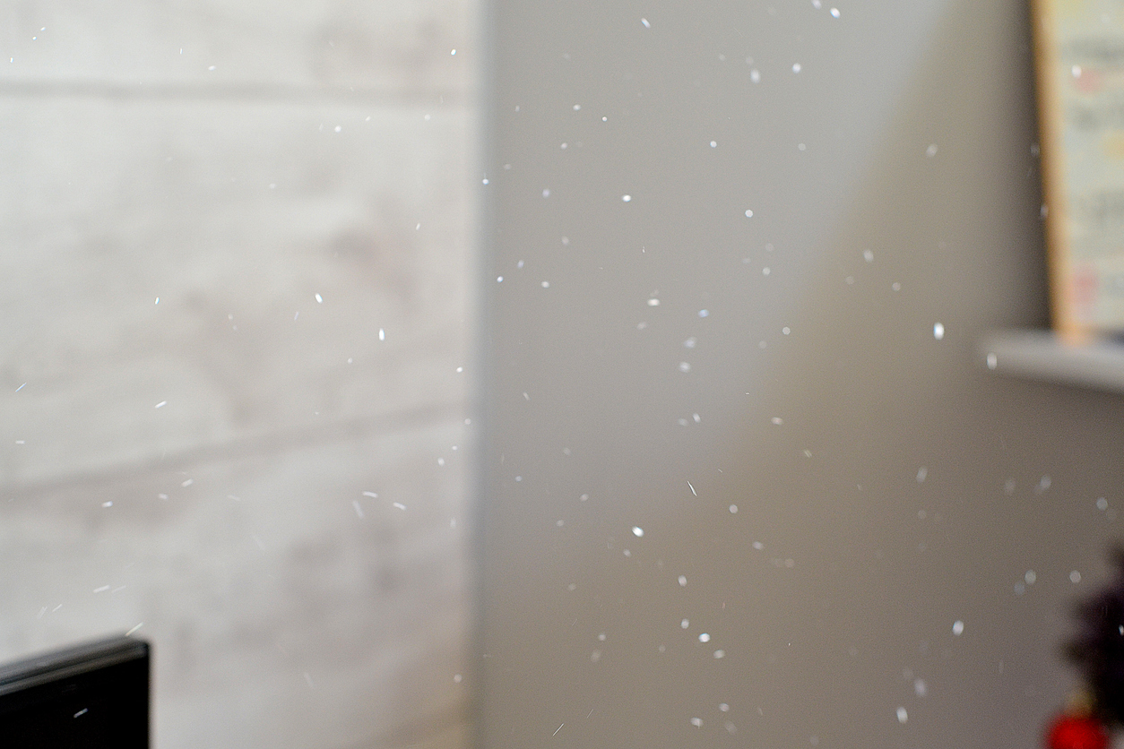 Close-up of dust or pollen particles floating in the air, highlighting the importance of testing air quality for allergy season.